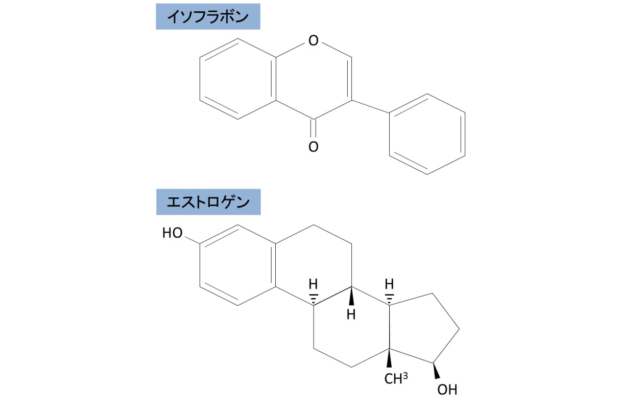 大豆イソフラボンとエストロゲンの分子構造
