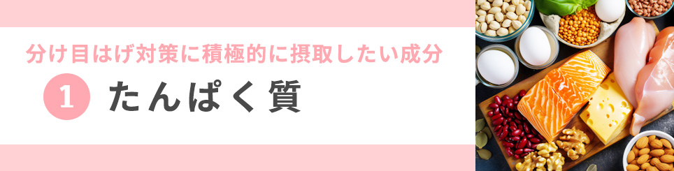 1 たんぱく質