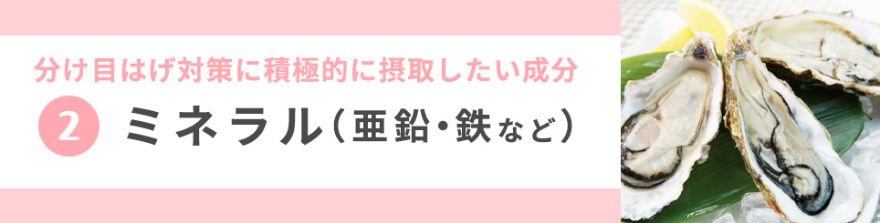 2 亜鉛や鉄分などのミネラル